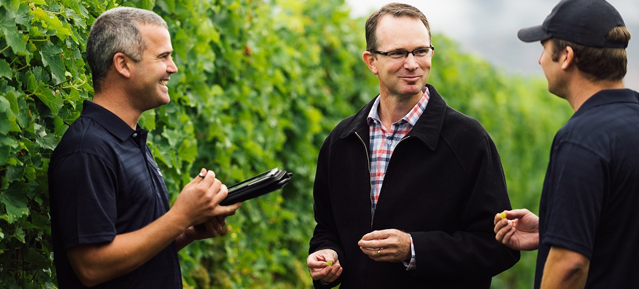 Our Teams Working in the wine industry at Delegat Group